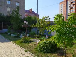 Огород